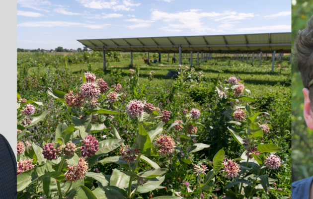 Pollinator Potluck: Green Energy - A Win For Birds!