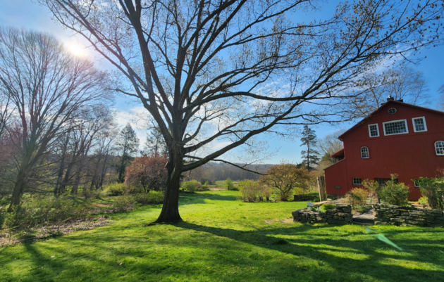 Birding Hikes at the Bent