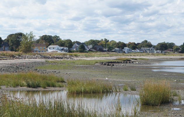 Wetland Mitigation and Connecticut’s In Lieu Fee Program