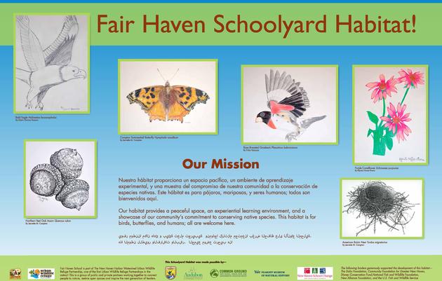 Fair Haven School
