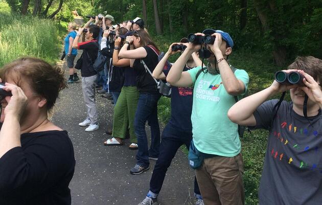 Spring Migration Bird Tour