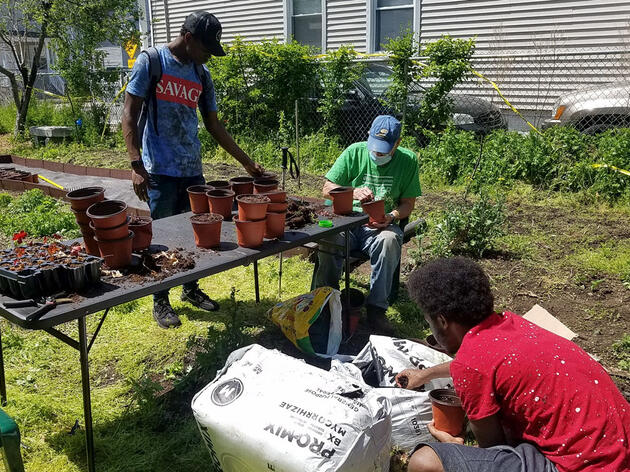 New Haven’s First Native Plant Nursery Sprouts with Audubon in Action Grant 
