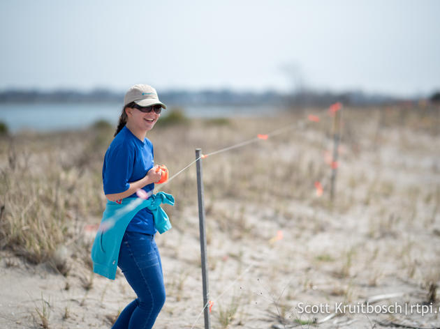 Audubon Needs You! For Shorebird Monitoring 2020
