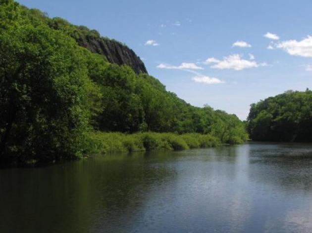 Audubon Connecticut Seeking Proposals for Development of a Conservation Plan at East Rock Park in New Haven
