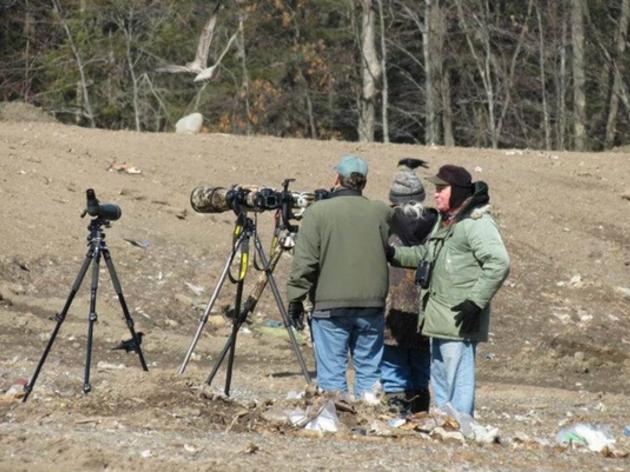 Take Part in the 19th Annual Great Backyard Bird Count
