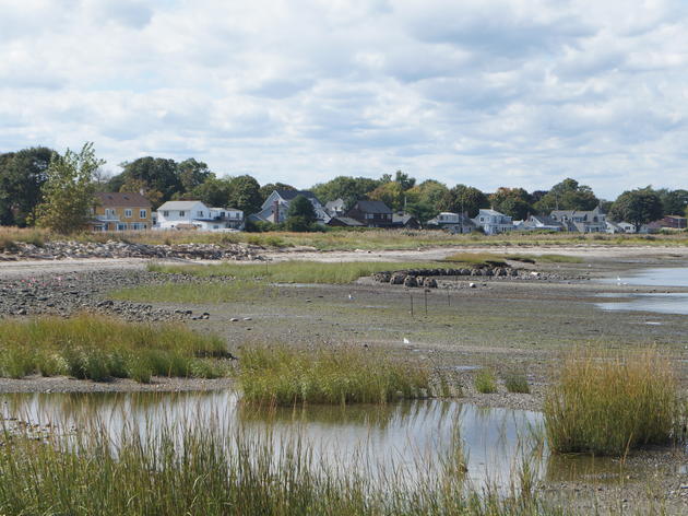 Wetland Mitigation and Connecticut’s In Lieu Fee Program