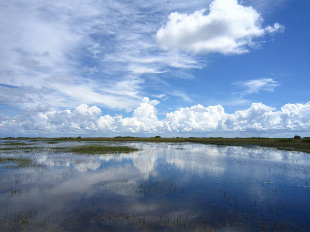 Congress Approves Critical Water Projects: Natural Infrastructure and Everglades