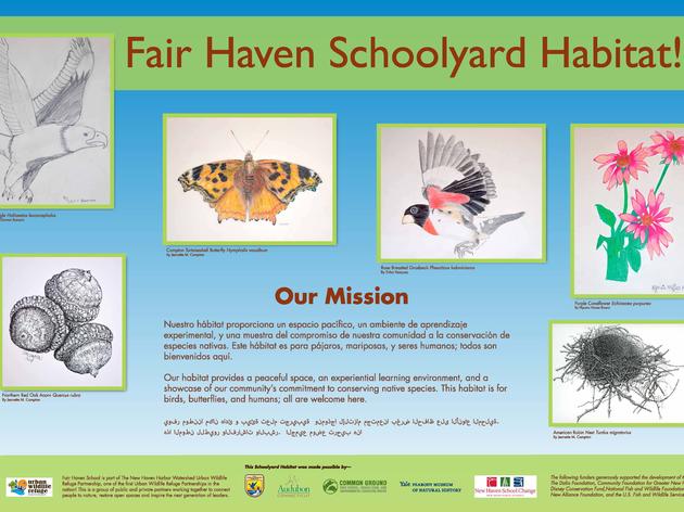 Fair Haven School