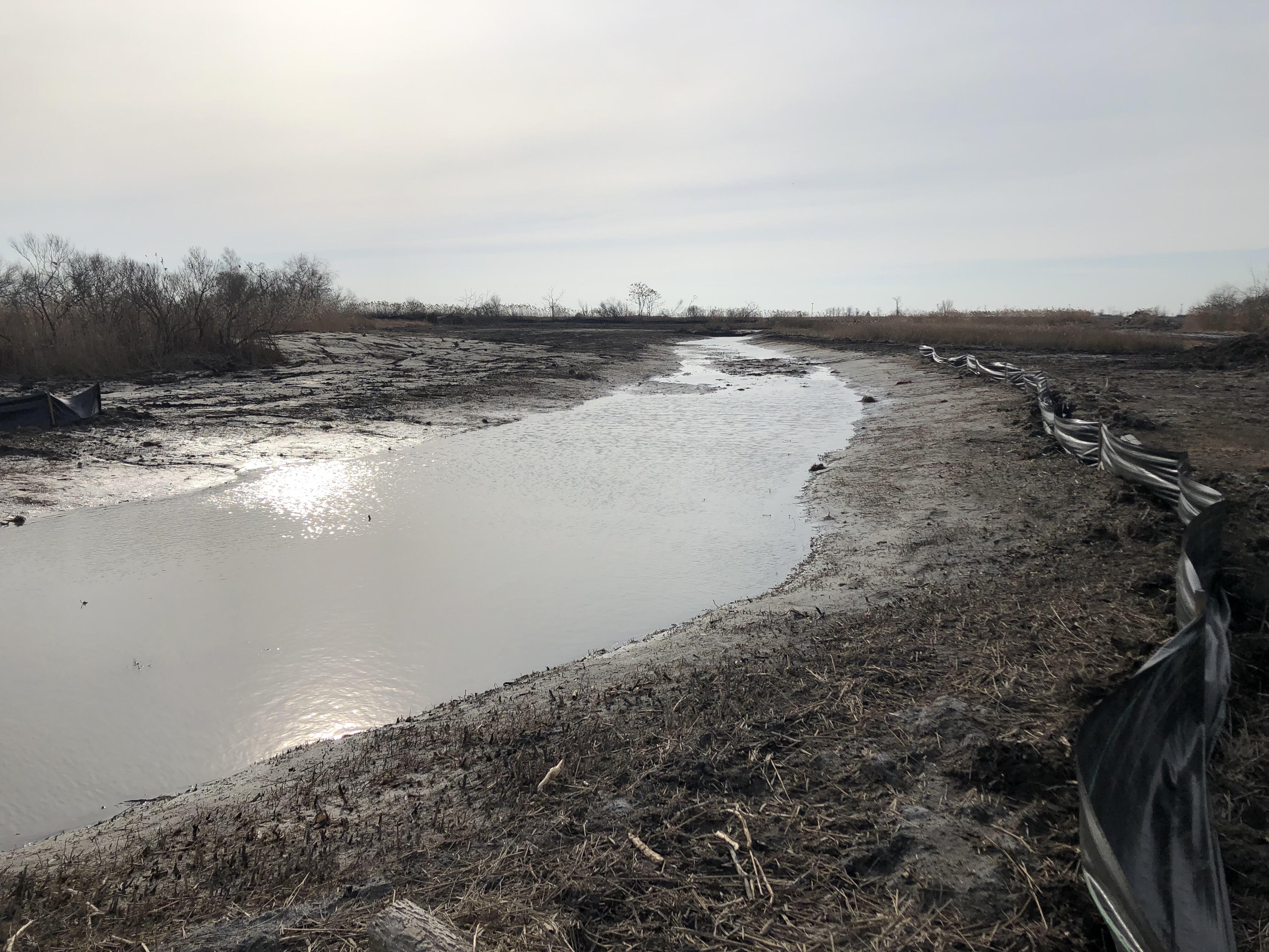 Creek after excavation. 