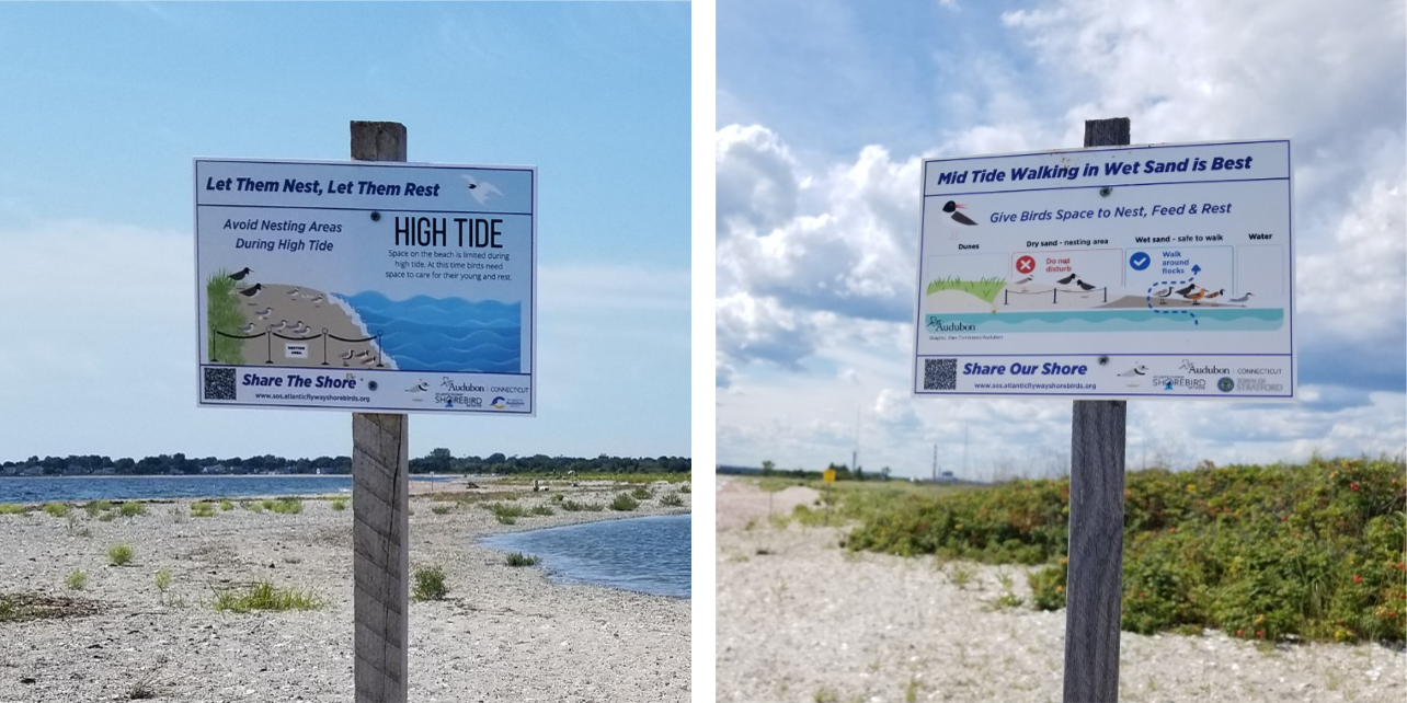Two signs on a beach. First sign advises beachgoers to avoid nesting areas during the high tide. Second sign advises beachgoers to walk on wet sand during the mid-tide. Both feature colorful illustrations of shorebirds on the beach.