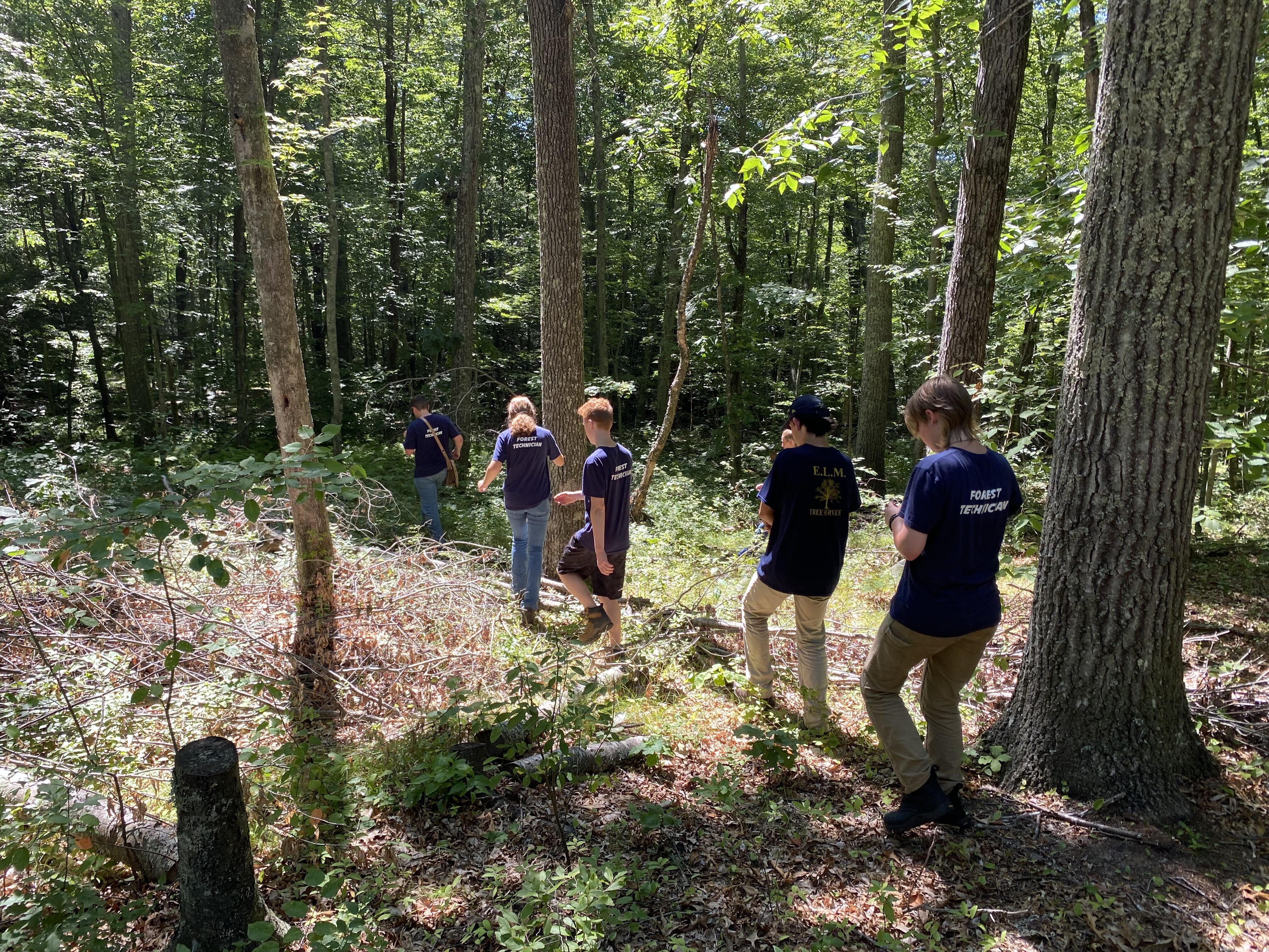 Several young adults in dark blue shirts that read "Forest Technician" on the back walk away from the camera and into a wooded area.