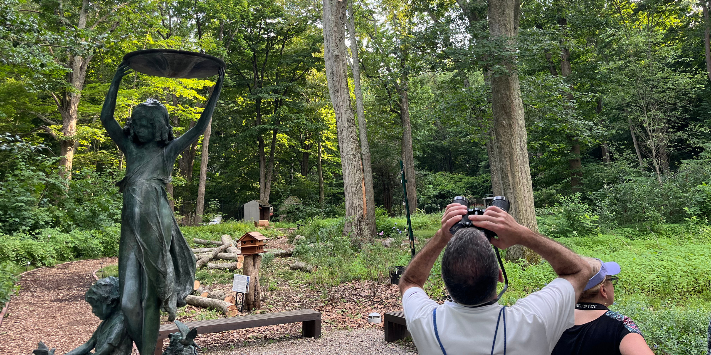 A group of people using binoculars to look up into the trees in a garden. They are standing next to a historic fountain statue of a woman with birds.