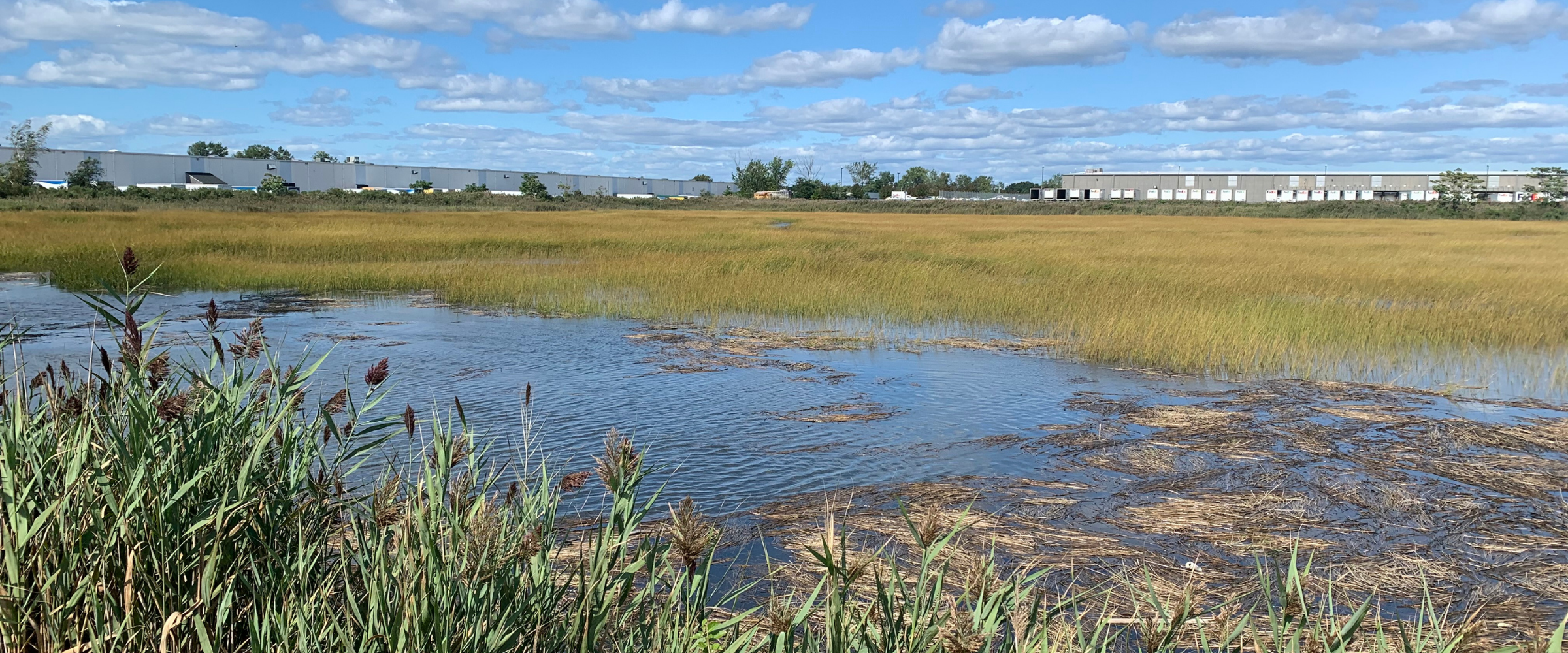 Great Meadows Marsh. You can see water and grasses and buildings in the background.