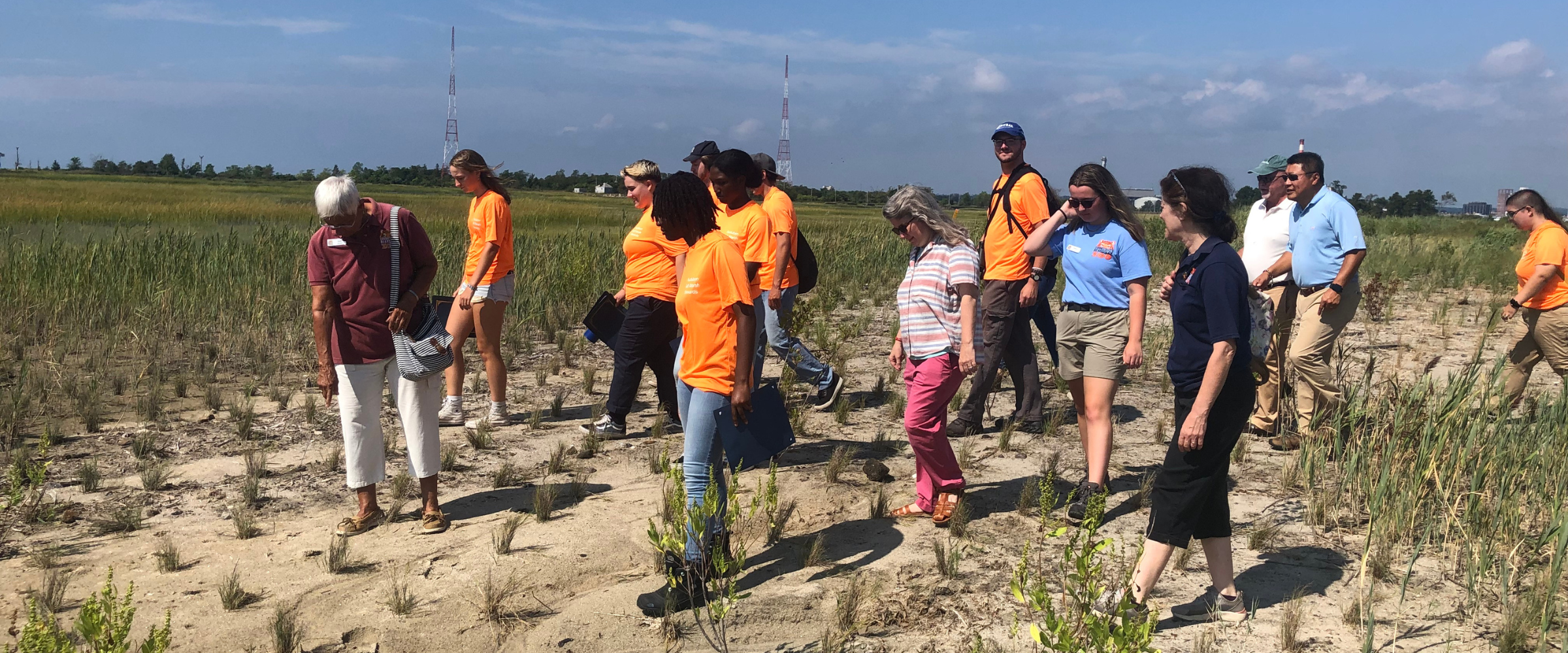 Saltmarsh Stewards, dressed in bright orange shirts, guide a group of people through the marsh plantings.