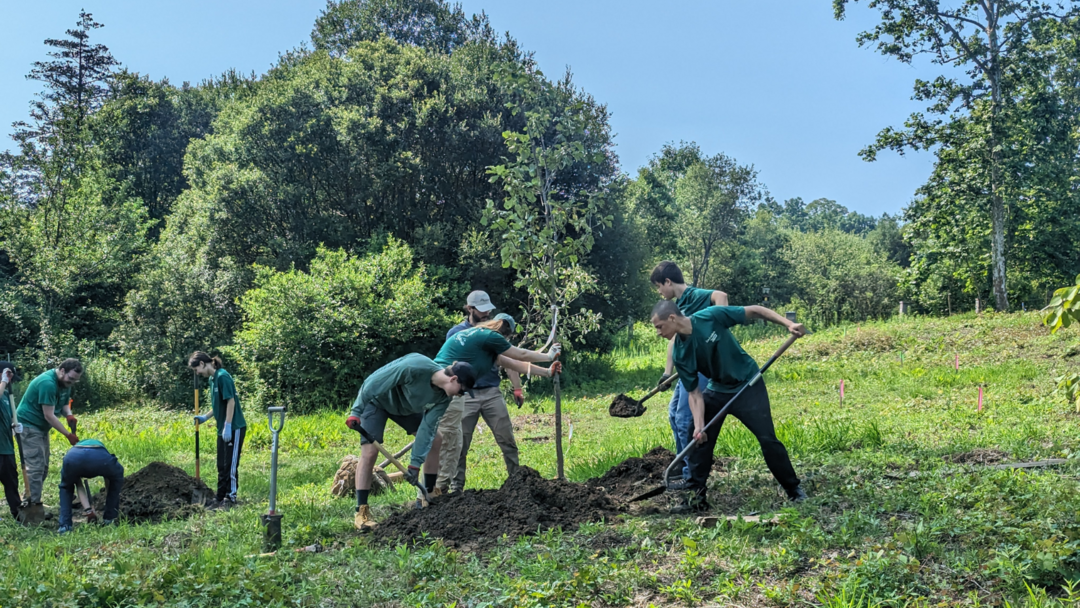 A group of Eco-Leaders in a field working together to plant a tree.